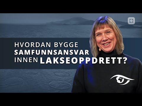 Hvordan bygge samfunnsansvar innen lakseoppdrett? | NTNU Kveld