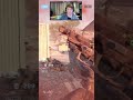 Gamer Dad decided Recon got tired of sniping