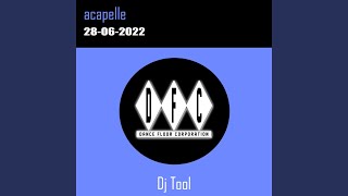 Animalaction (Acapella) - Paraje