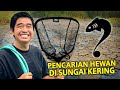 Pencarian hewan apapun di sungai kering di kampung