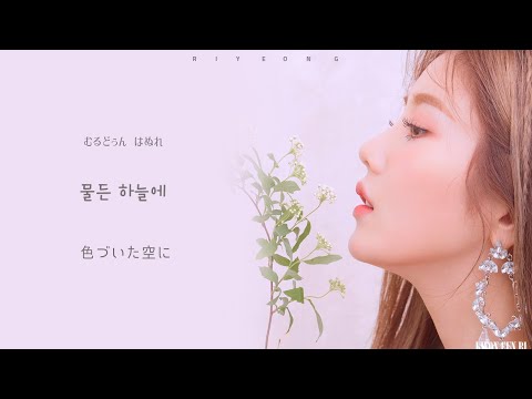 【日本語字幕・カナルビ】Sun Flower（해바라기）- IZ*ONE    Lyrics