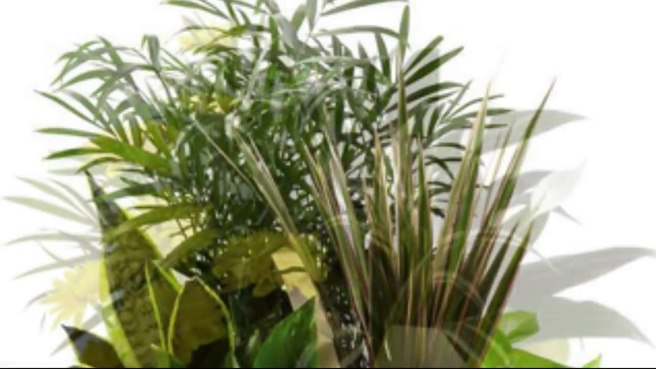 NEW YORK FLOWERS AND FLORIST UPPER WEST SIDE UPPER WEST SIDE YouTube