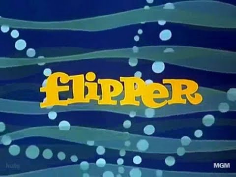 Trecho Seriado Flipper 1964 Dublado - YouTube