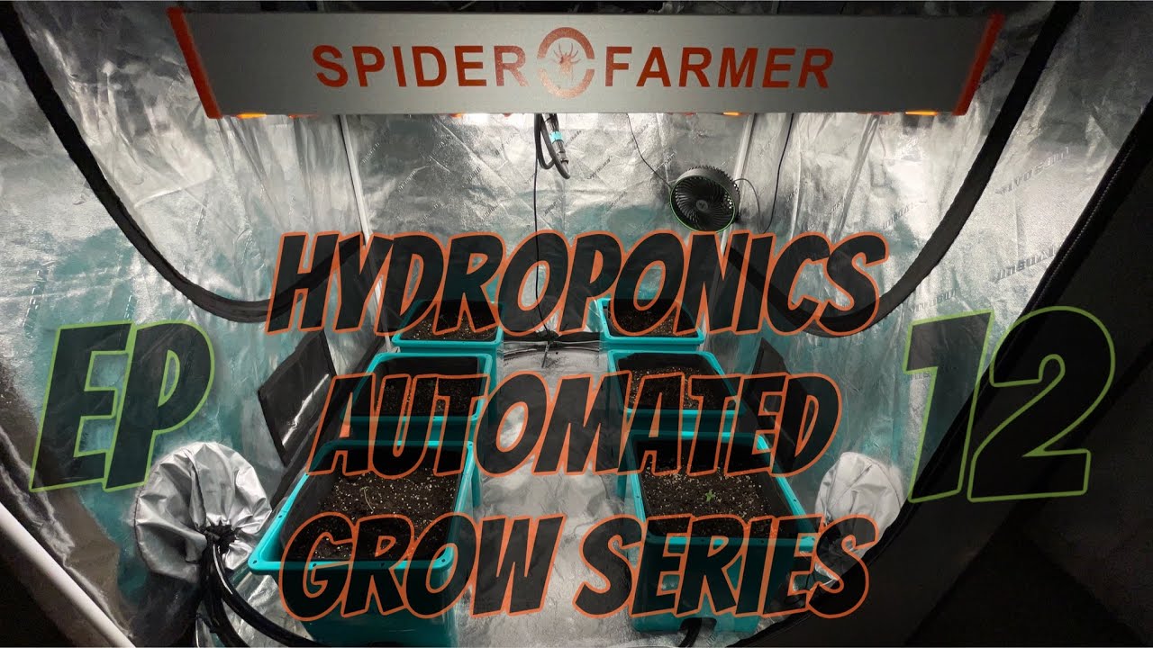 AIR CUBE * G4500 * VIVOSUN HUB FULLY AUTOMATED CANNABIS GROW