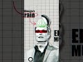 Elon Musk Vs Your Brain