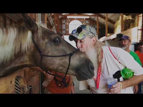 Video: Paardenveiligheidsadvies van een TBI-patiënt