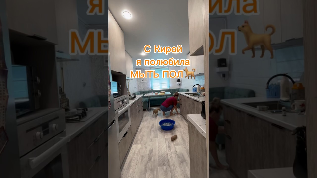 #КирочкаСобачка