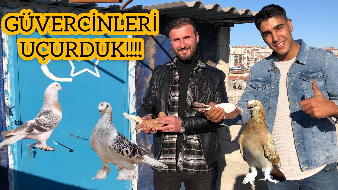GÜVERCİNLERİ UCURDUK! Mustafa kırkız ile