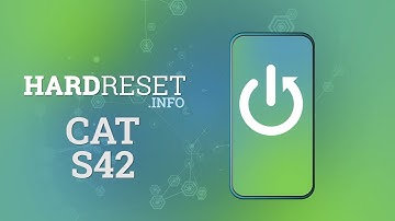 How to Activate Camera Quick Launch in CAT S42- Turn On Quick Launch