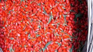 купить ягоды годжи 1 кг(, 2014-12-19T23:14:04.000Z)