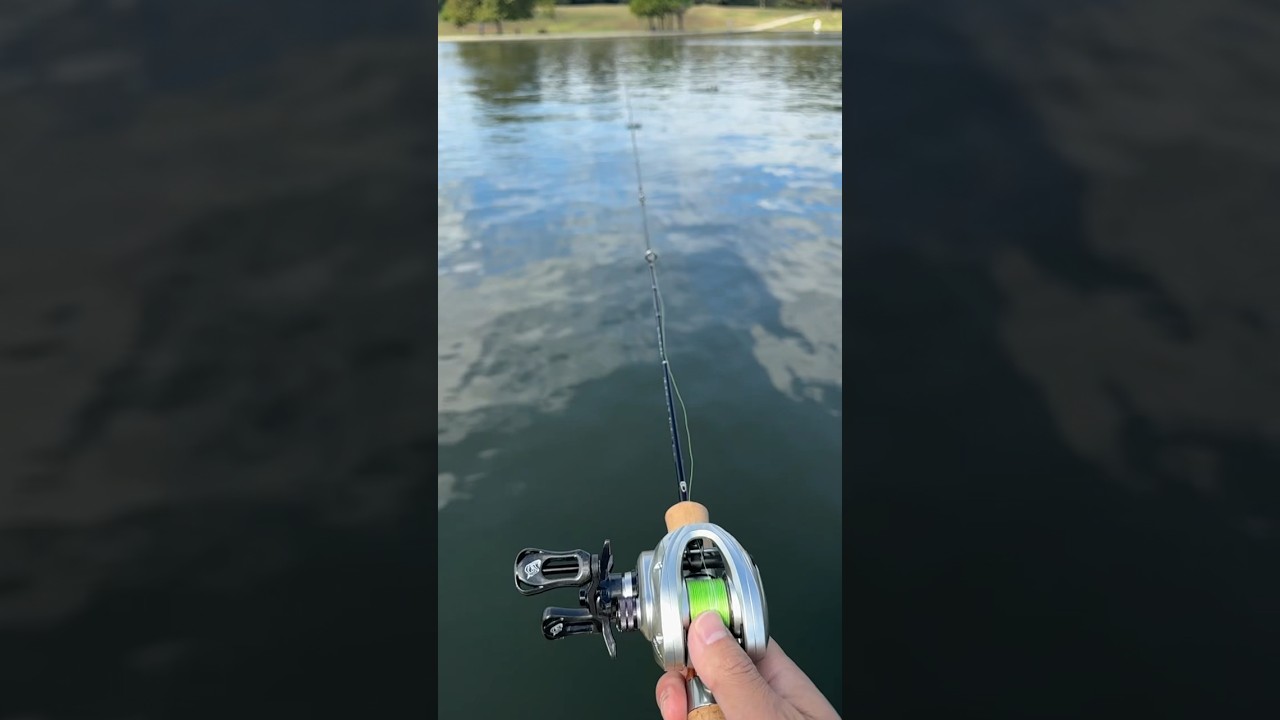 acura cast fishing reel SoloKing HICC-50 Pro BFS Baitcasting 7.1:1/8.1:1 10+1BB 4Kg – Pro Tackle World sleek design Acura 136g Ultra Light Baitcasting