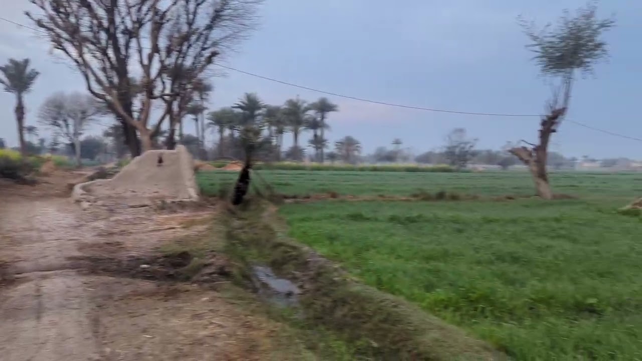 Natural beauty of village Punjab Pakistan قدرتی خوبصورتی پنجاب پاکستان 