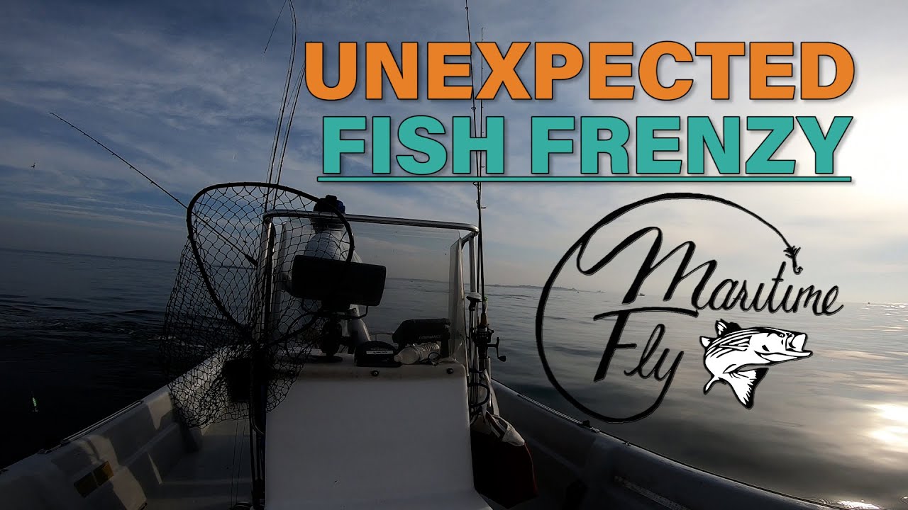 Striped Bass Feeding Frenzy! Block Island Sound Fishing
