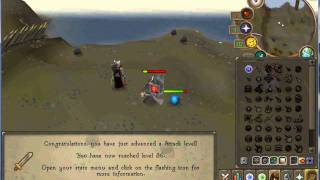 Runescape Private Server 614