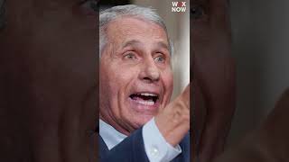 Rand Paul releases details on Fauci swaying intelligence community on COVID-19 origins
