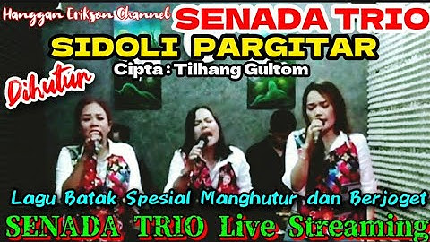 SENADA TRIO - Cover Lagu Batak  "SIDOLI PARGITAR" Cipta : Tilhang Gultom @hangganeriksonchannel8093