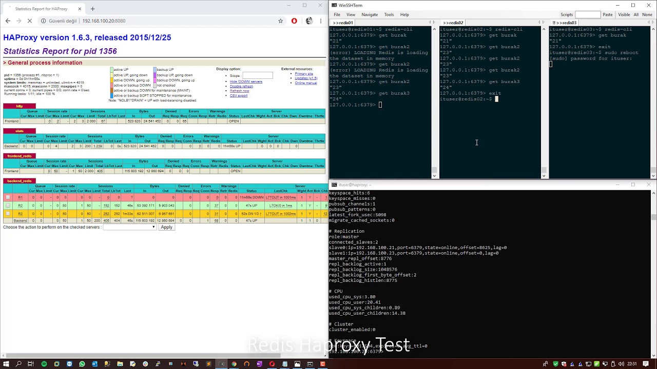 Haproxy Test Mode – Health checks – ZDMD