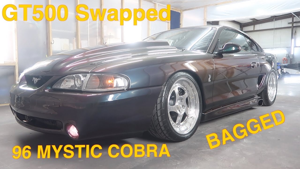 1996 Mystic Cobra Bagged And Blown YouTube