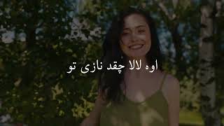 Arash Halle آرش - حله متن آهنگ Lyrics Video