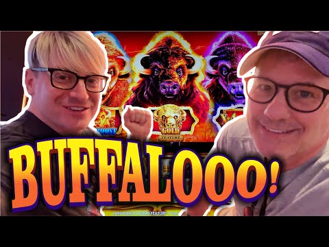 Buffalo Brought Us Over $1,000 in a Matter of Minutes! 🙌🏻