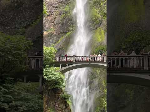 Capture The Sound of Oregon