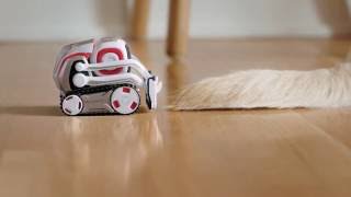 Cozmo In Best Friend