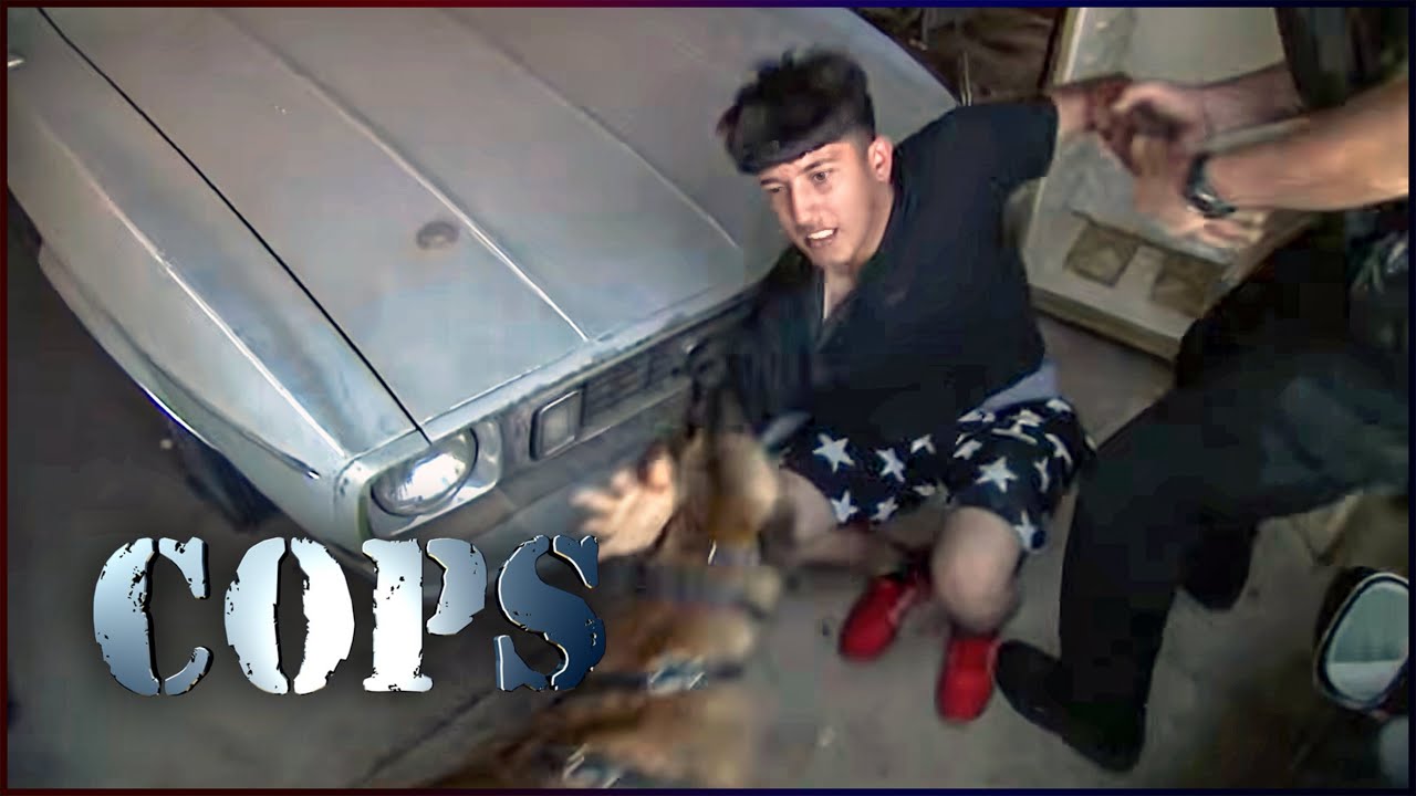 CAUGHT ON CAMERA: Police Surround House Hunting Armed Suspect