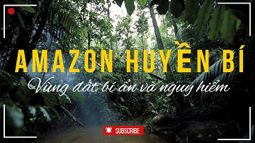 Rừng Amazon: Khu Rừng Lớn Nhất Thế Giới với Những Bí Ẩn Rùng Rợn, Nguy Hiểm Và Sự Thật Kinh Ngạc