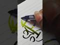 calligraphy shorts #penmanship #nameart #calligraphy
