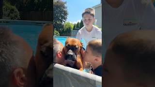Part two Jack being in the pool💧🥺🐶❤️￼