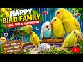 New family members.#birds #lovebird #parrot#talkingparot #viralvideo #cute
