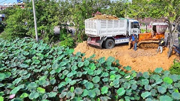 Be on guard! Start New Landfill Task! using Dump Truck 5Ton Unloading & Dozer Push Soil Clear Pond