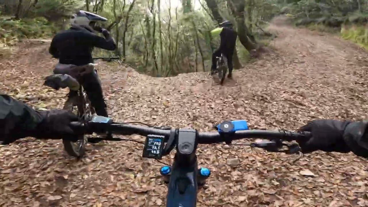 MTB Conero le 3 Grazie - Focus Jam2 6.8 2023