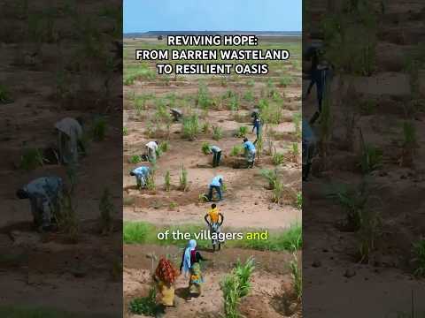 Reviving Hope: From