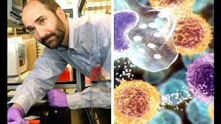 What the Experts Really Think About Race Realism and White Nationalism [Mirror]