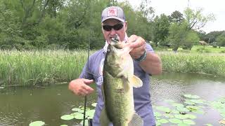 Greatest Frog ever invented, and how to fish it for maximum results this Summer!!!