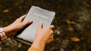 Digging In Bible Study