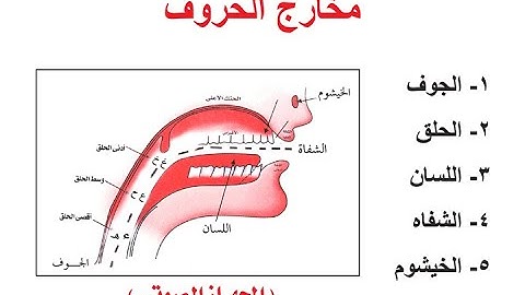 تبسيط أحكام التجويد | مخارج الحروف 12