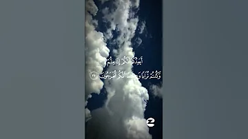 أيعدكم أنكم إذا متم وكنتم ترابا وعظاما أنكم مخرجون هيهات هيهات لما توعدون الشيخ ياسر الدوسرى 