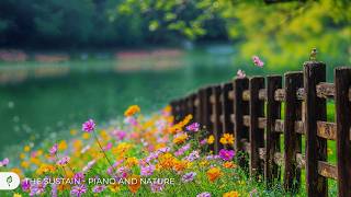 Lush Green Landscapes 🌿 Soft Piano and Nature Sounds to Ease Stress and Quiet the Mind screenshot 4