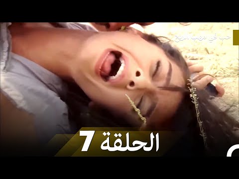 Arabic Dubbed حب في مهب الريح الحلقة 7