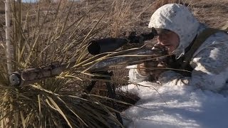 Predator Hunting Suppressed Coyote Down