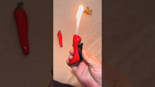 The Turtle Shell Lighter Was His Favorite! 😂🔥
