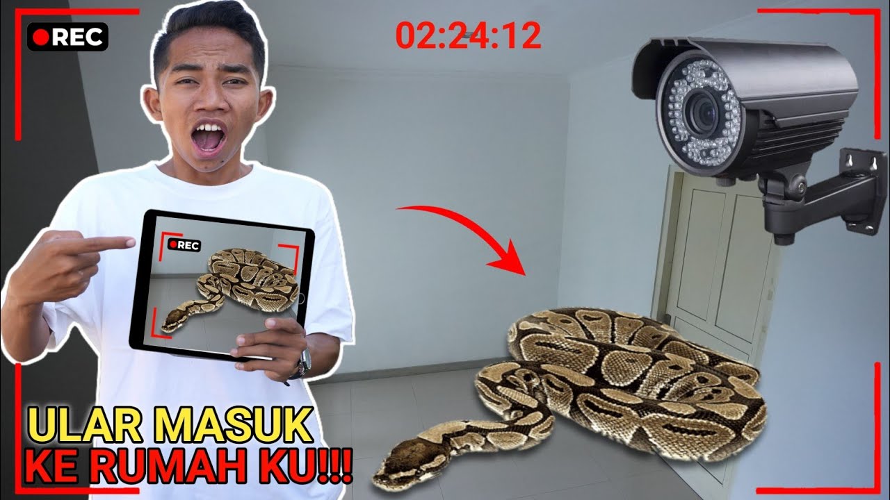 CCTV MEREKAM ADA UL4R RAKSASA MASUK KEDALAM RUMAH ARIK??TOLONG DAMKAR😱 | Mikael TubeHD