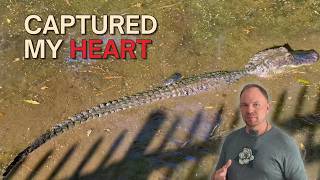 Louisiana Wasn’t What I Expected - Cajun Food, Alligators & New Orleans