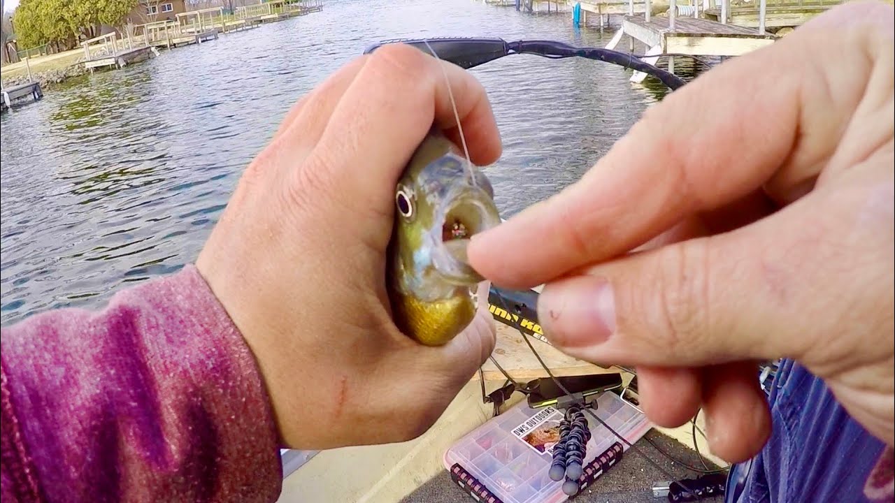 NEW Favorite Soft Plastics for Bluegill Fishing! (B-Y Baits Mega