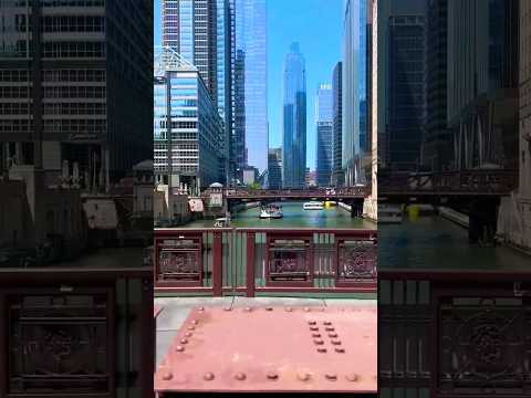 شيكاغو امريكا Travel Trending Viral Shorts
