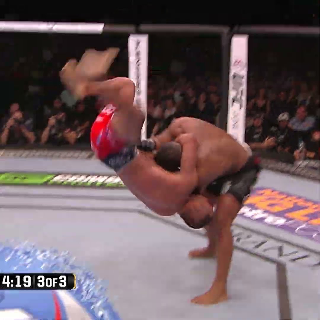 complete ragdoll ?? #shorts