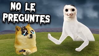 NEVER ASK YOUR CAT THIS, OR IT WILL PULL OUT YOUR EYES - Threads with Cheems