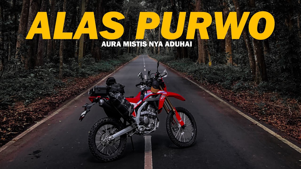 Eps.8 Perjalanan ke ALAS PURWO, Hutan Tertua & Spiritual di Ujung Jawa Timur | Solo Touring